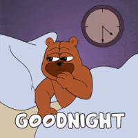 Sleep Bear GIF by Bearycoin