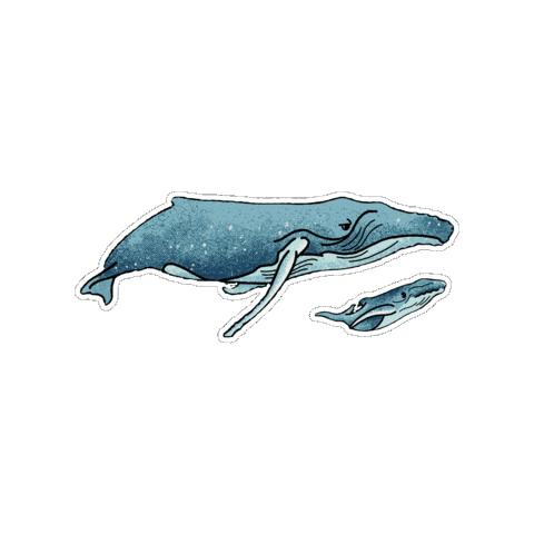 Whale Fauna Sticker by Parks Conservancy