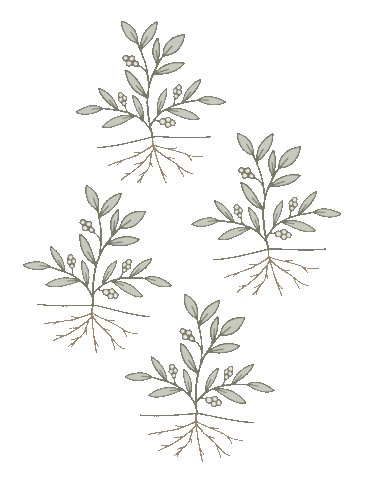 Sticker by A Little Less Toxic