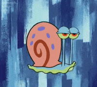 Racing Snail Gifs Get The Best Gif On Giphy