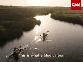 Blue Carbon GIF by CNN