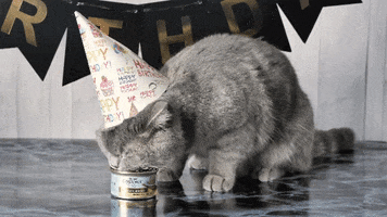 Hungry Party GIF by Weasy