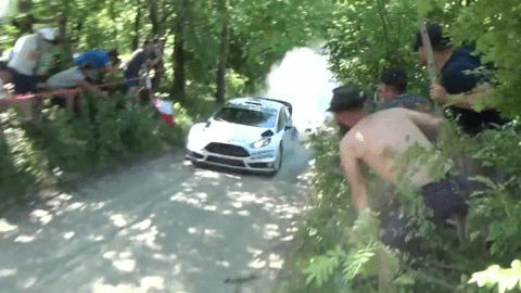Rally GIF - Find & Share on GIPHY