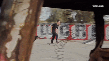 dog race GIF by KING OF THE ROAD