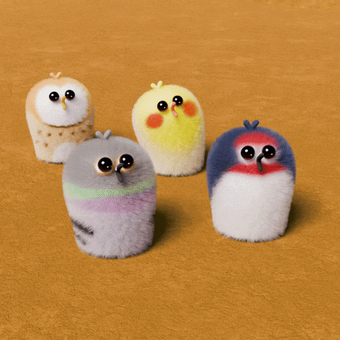 Whats Going On What GIF