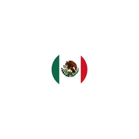 Mexico Flag Sticker by elturf for iOS & Android | GIPHY