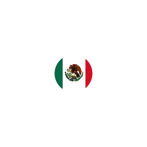Mexico Flag Sticker by elturf for iOS & Android | GIPHY Mexico Flag Sticker by elturf for iOS & Android | GIPHY