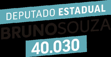 Santa Catarina Bruno GIF