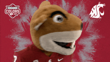 College Sports No GIF by College Colors Day