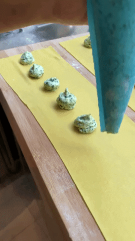 Mastro Tortello GIF