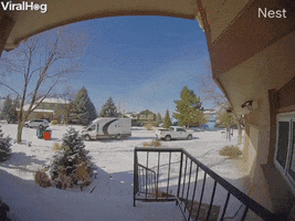Delivery Driver Forgets To Put Van In Park GIF by ViralHog