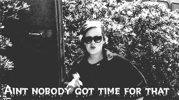 adele aint nobody got time for that GIF