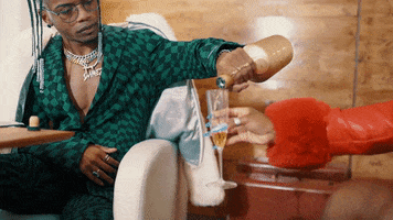 Private Jet Drinking GIF by Damez