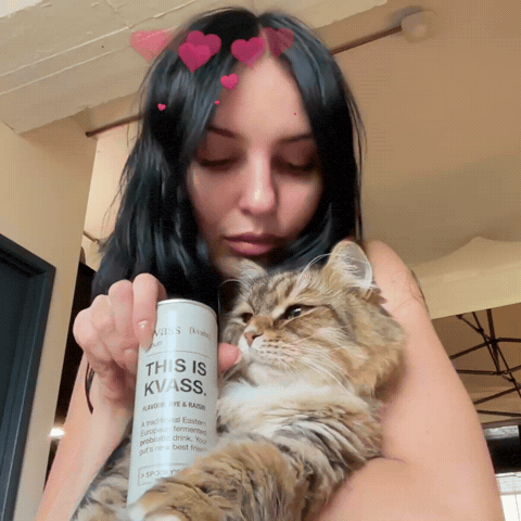 Cat Love GIF by Spooky’s Kiosk