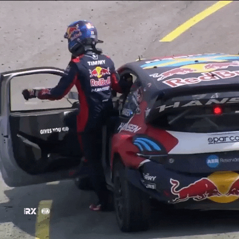 Im Out Game Over GIF by World RX - FIA World Rallycross Championship