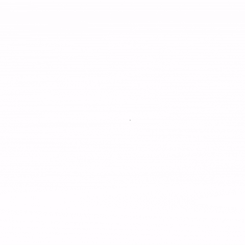 BR performance GIF