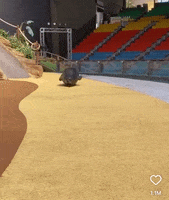 Coming You Rang GIF by HKRealty