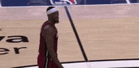 Miami Heat GIF