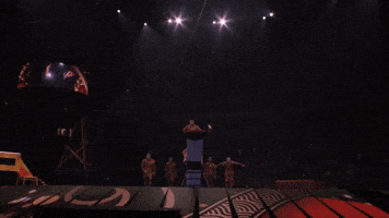 Circus Backflip GIF by Ringling Bros. and Barnum & Bailey