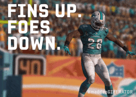 Miami Dolphins GIF by Madden Giferator