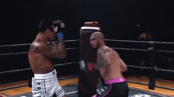 GIF by Dirty Boxing Championship