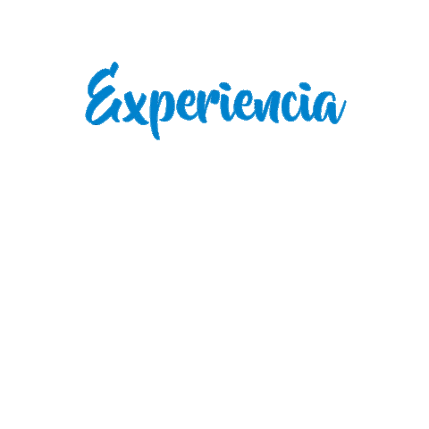 Agencia Viajes Sticker by SpringTours