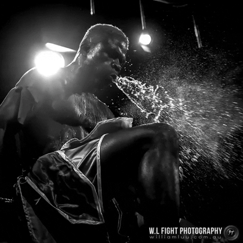 Muay Thai Fighter GIF by wlfightphotography