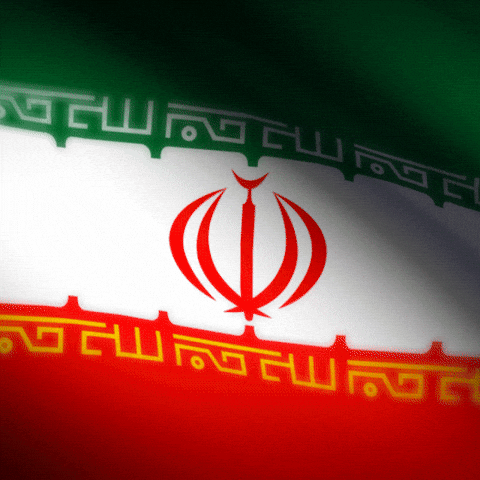 Iran Flag Logo GIF by xponentialdesign