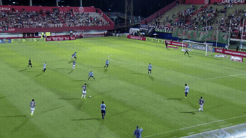 leandroalves  GIF