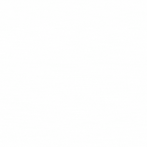 Bodo2024 GIF