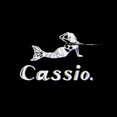 Cassio Social Night Club GIF