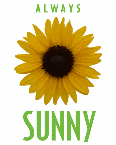 Always Sunny Flower GIF by Ball Horticultural Co