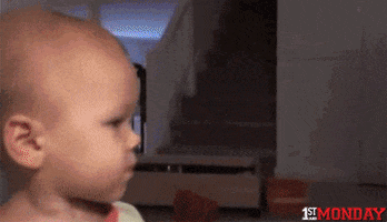 200.gif?cid=fc005b08a048ea6b7ec5c5d2d39408e5a39818e3d389ad6e&rid=200.gif&ct=g