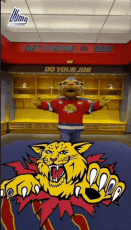Moncton Wildcats Mascot GIF