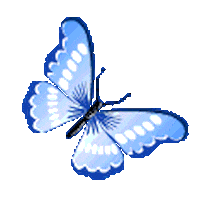 Butterfly GIFs - Get the best GIF on GIPHY