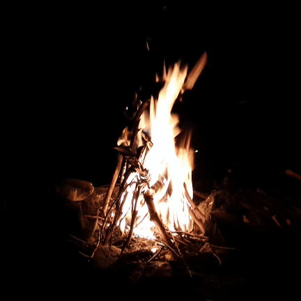  fire flame camping campfire on fire GIF