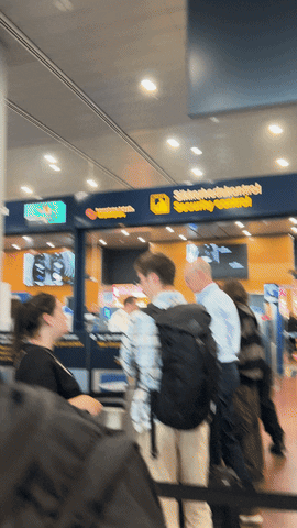 Travel Security GIF