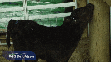 PGG Wrightson Retail & Water GIF