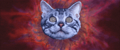 emanuelserjpg  GIF