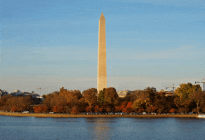 Washington Monument Dc Gif By Modgif