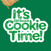 Girl Scouts GIF by ABC Bakers