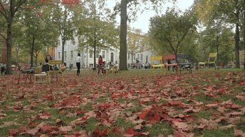 autumn GIF by Harvard University