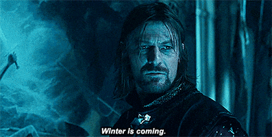 house stark winter is coming GIF