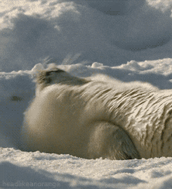 giphy.gif?cid=790b76110190981e5605b40482