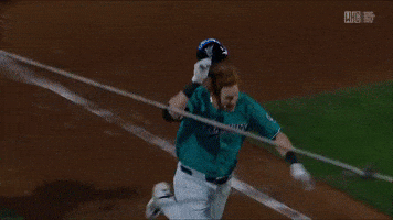 Home Run Baseball GIF by MLB