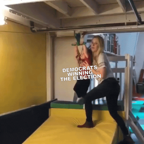 Meme gif. Small child, labeled "democrats winning election," mounted onto a zipline by his mother and released, as he dangles haplessly, zipping across a foam pit and, smack, directly into a giant mat labeled "Dealing with GOP chaos the next day."