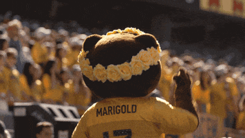Baylor Bears Marigold GIF by Baylor Athletics