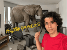 Elefante GIF