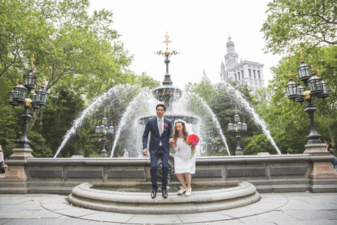 giphy.gif?cid=ecf05e47dmwc2b4nzc2hcc6syiifq08a8h76wvztxhecbgpu&rid=giphy.gif