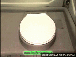 toilet GIF